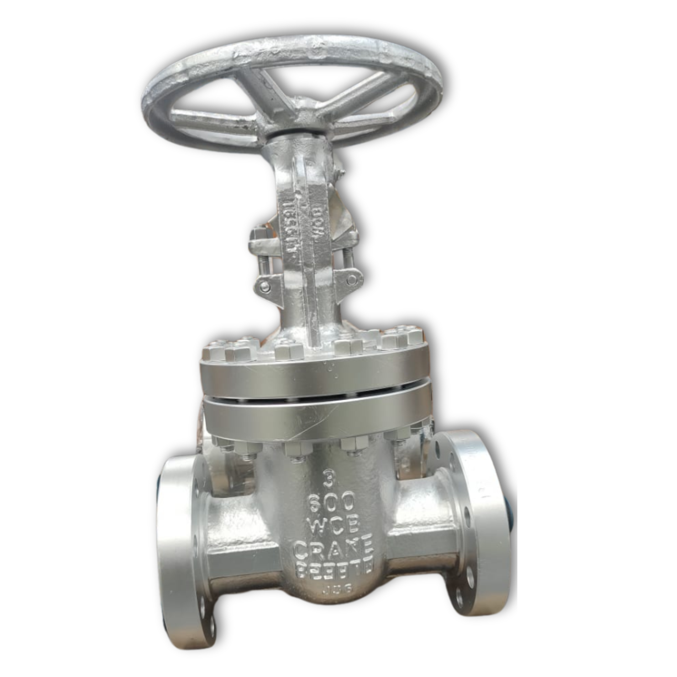Gate Valve by Crane